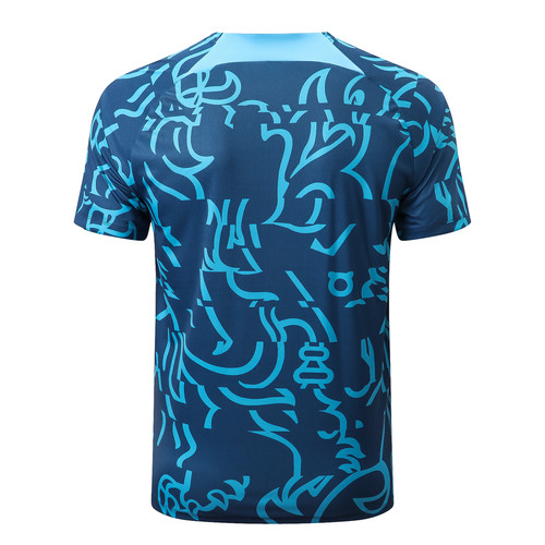 Չելսիի 2022/23 մրցաշրջանի կապույտ շապիկ